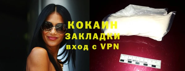не бодяженный Заводоуковск