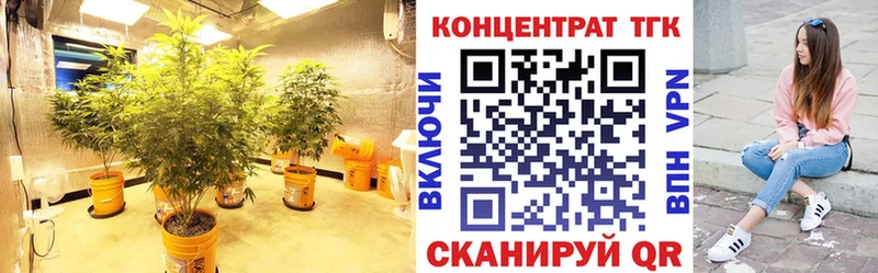 ТГК THC oil  Кизляр 