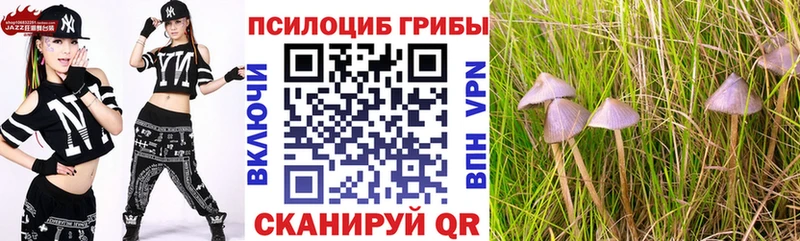 Псилоцибиновые грибы GOLDEN TEACHER Кизляр